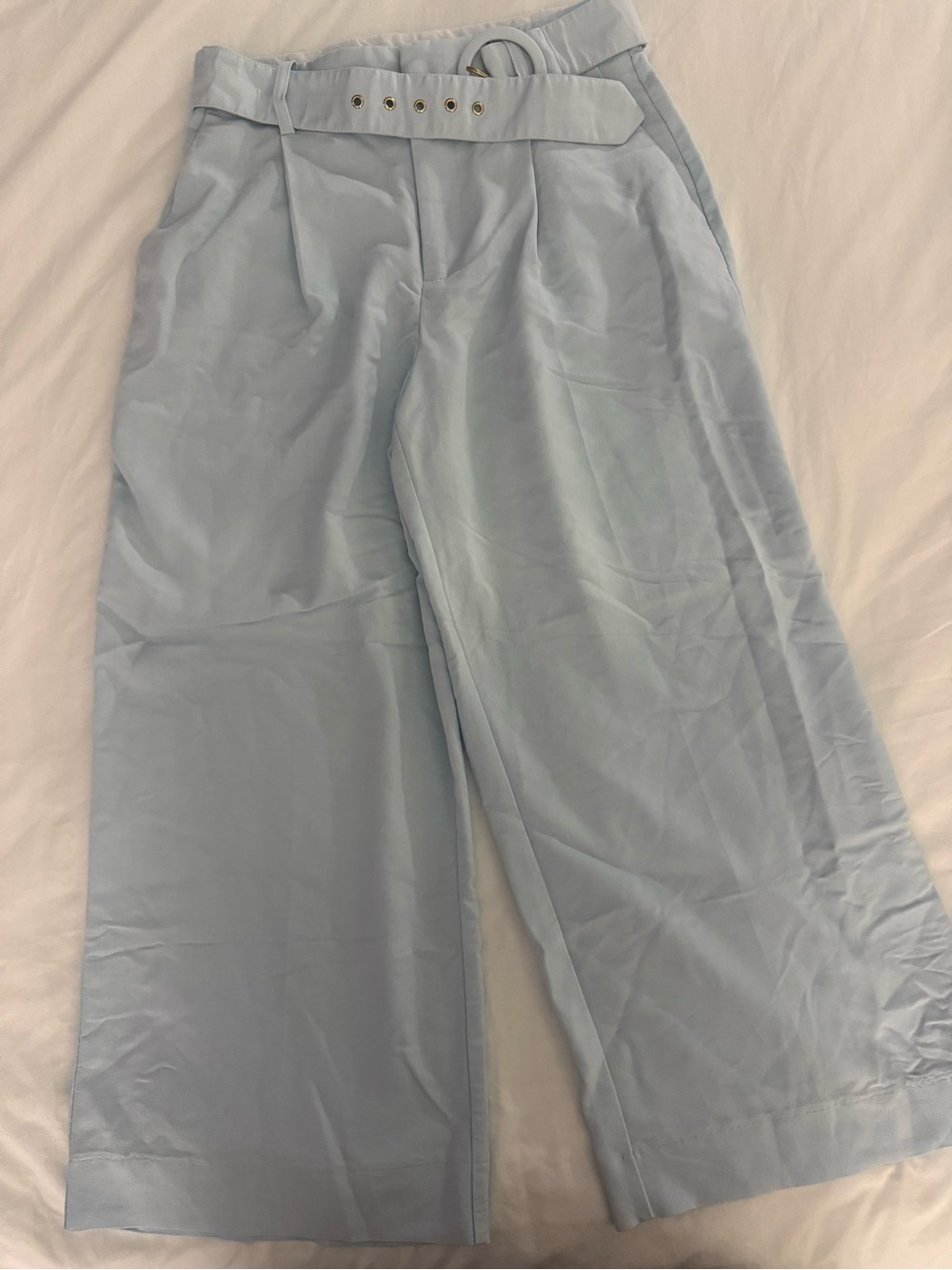 House of Harlow 1960 Light Blue Wide-Leg Belted Pants